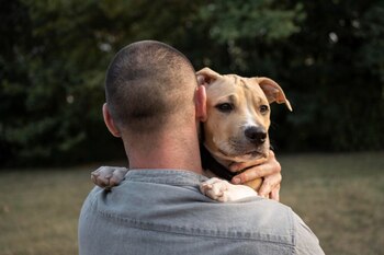 El humano transmite más virus a otros animales que ellos a él