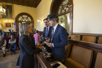 El PSOE pide que se regulen las viviendas turísticas