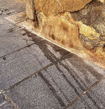 Muestras poco cívicas en la calle Conde Don Ramón