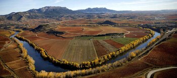 Rioja en otoño: 1.001 vinos, 1.001 planes