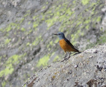 Diputación presume de riqueza natural en dos citas feriales