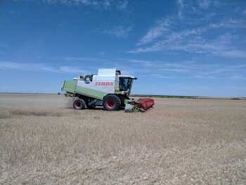 6.043 agricultores y ganaderos reciben 81,6 millones de la PAC