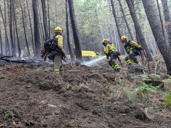 Unas 100 hectáreas afectadas por el incendio de El Hornillo