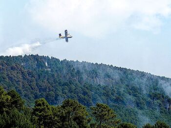 El fuego hace acto de presencia con los dos primeros incendios