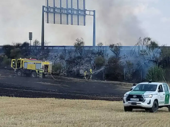 Controlado el fuego de Almazán tras declararse el nivel 2