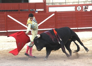 Importante festejo dentro del Circuito de Novilladas