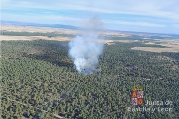 Controlado un incendio en El Bohodón que llegó a nivel 1