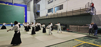 Desde toda España para una clase magistral de aikido