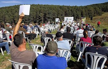 La Diputación aplaza la subasta de ganado de El Colmenar