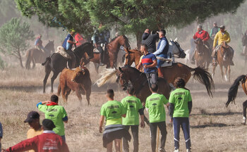 El Toro de la Vega cornea de gravedad a un mozo de 35 años